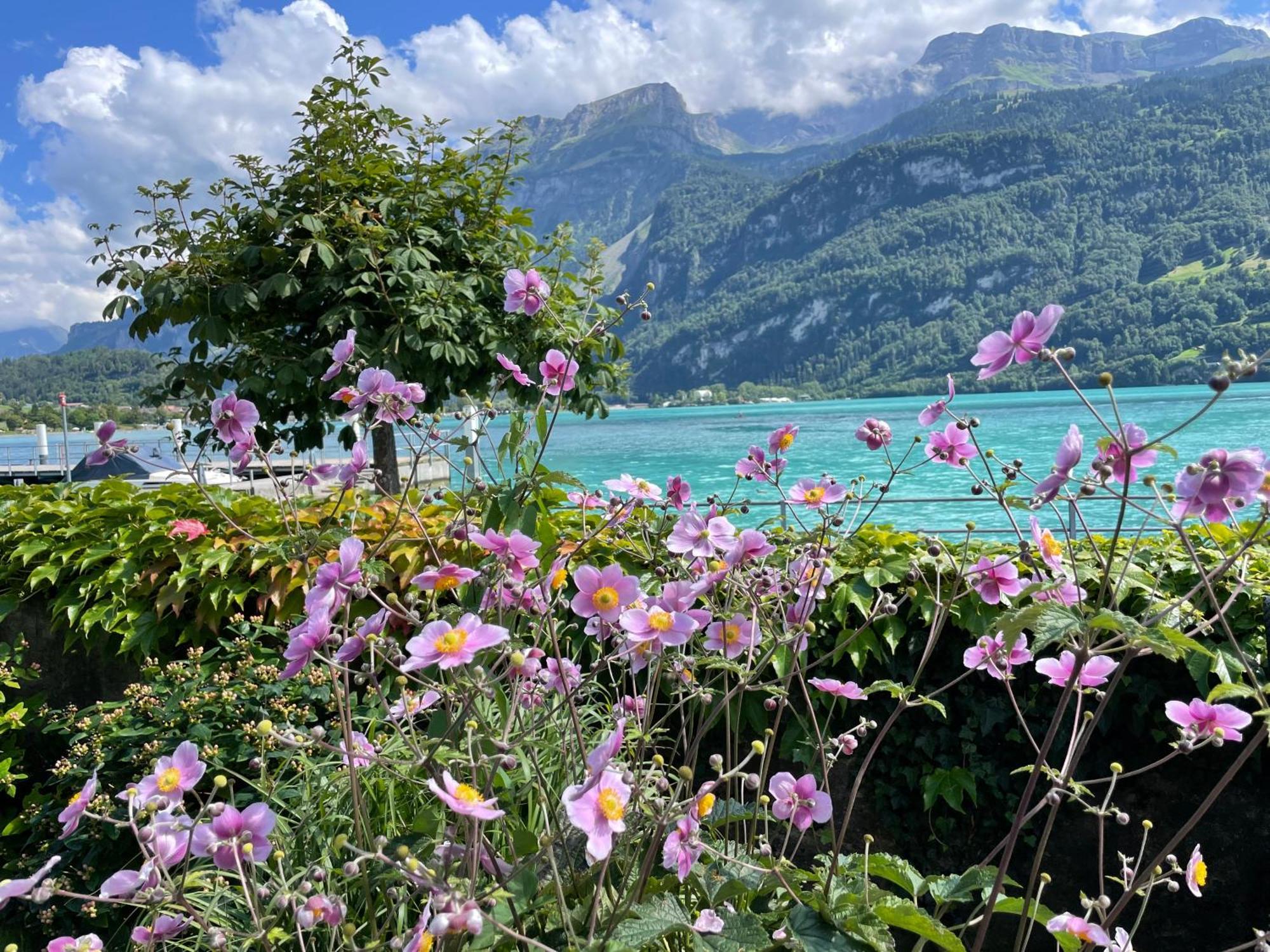 Chalet Romantica Carpe Diem Best View Best Location Brienz  Exterior foto